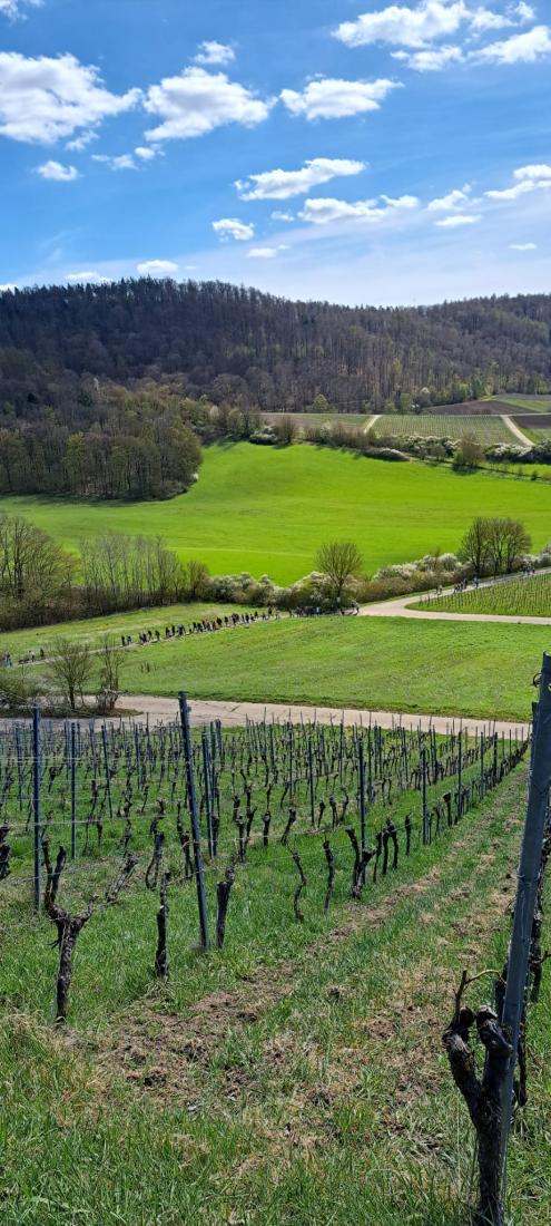 WhatsApp Image 2026-04-07 at 08.55.40 (4)