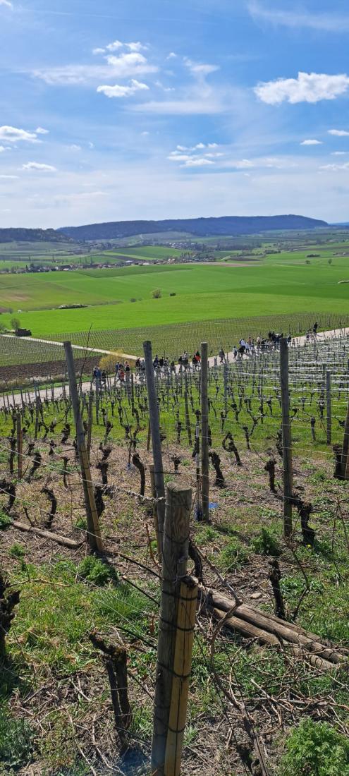 WhatsApp Image 2026-04-07 at 08.55.40 (5)