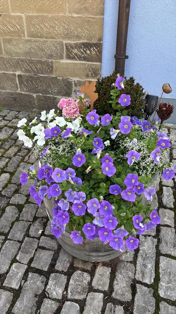 FasstSommer2026 (10)