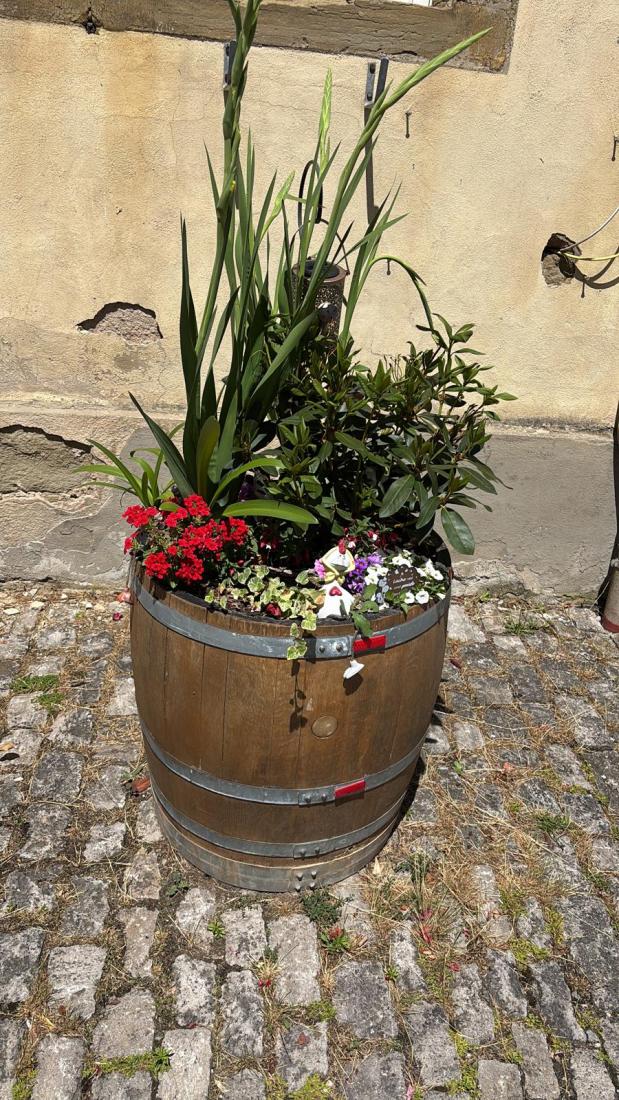 FasstSommer2026 (12)