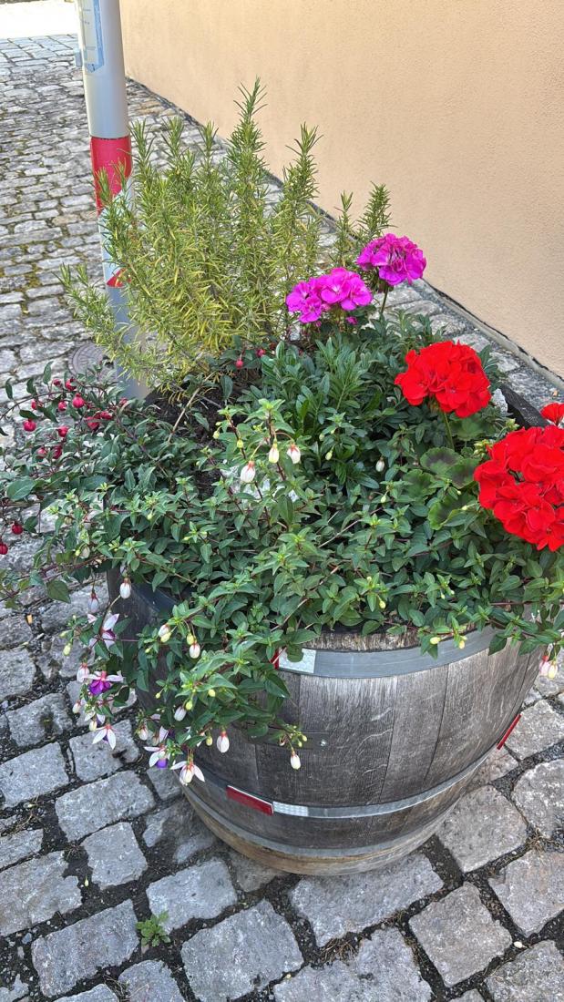 FasstSommer2026 (14)