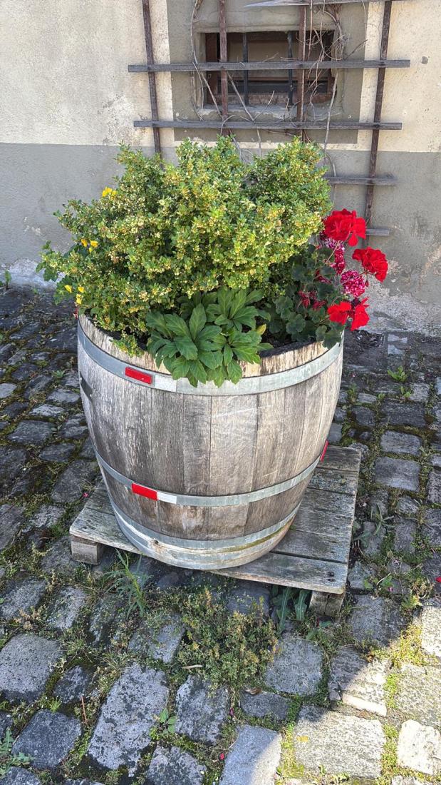 FasstSommer2026 (15)