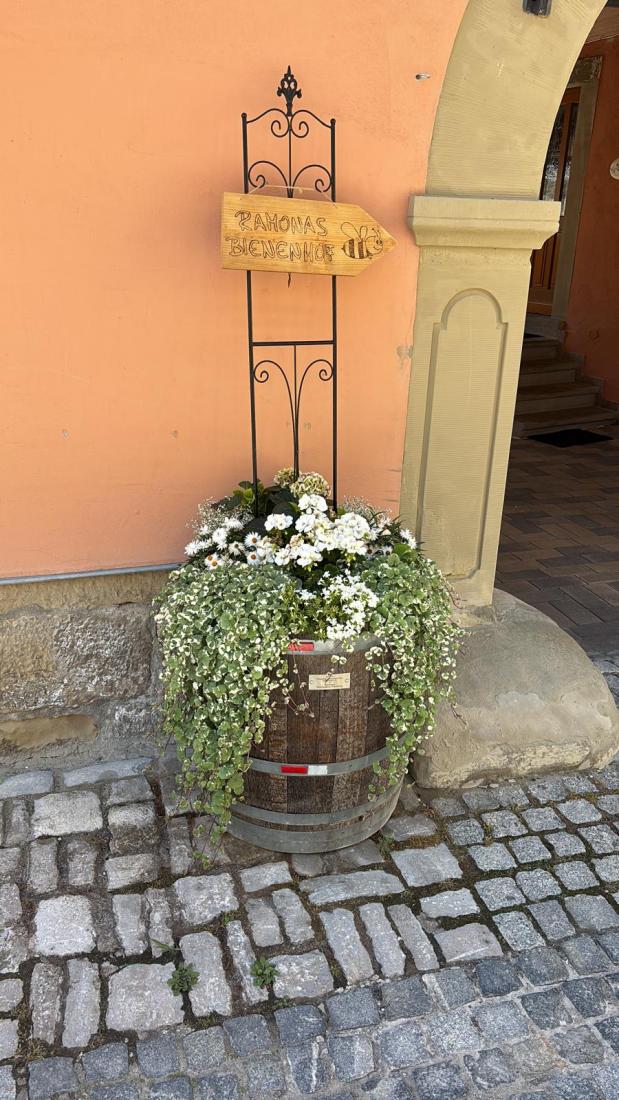 FasstSommer2026 (17)