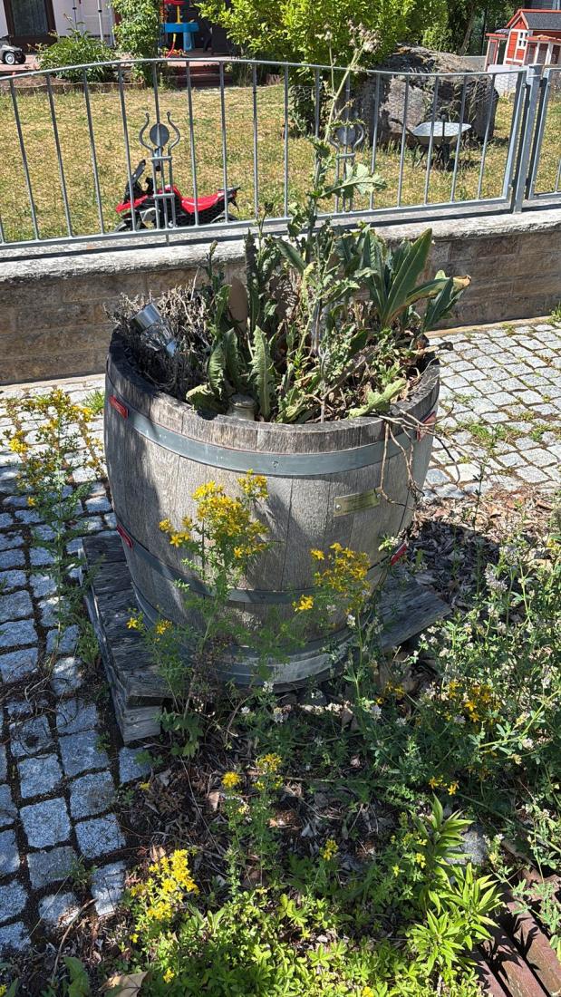 FasstSommer2026 (20)