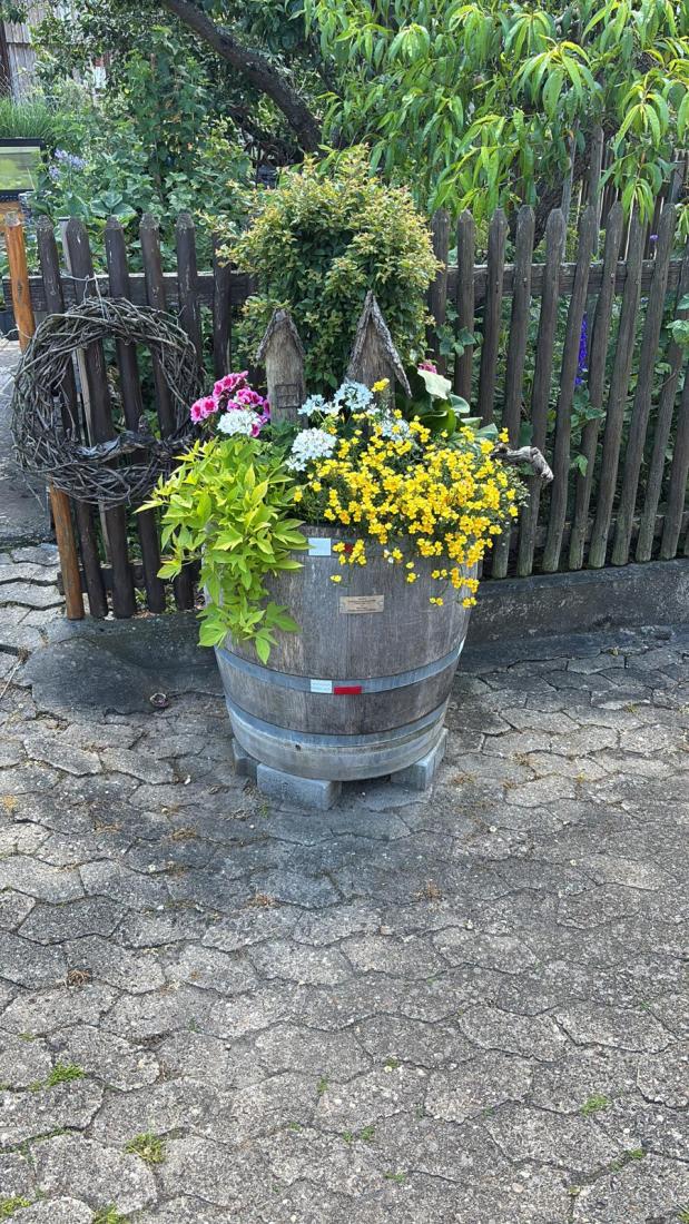 FasstSommer2026 (21)