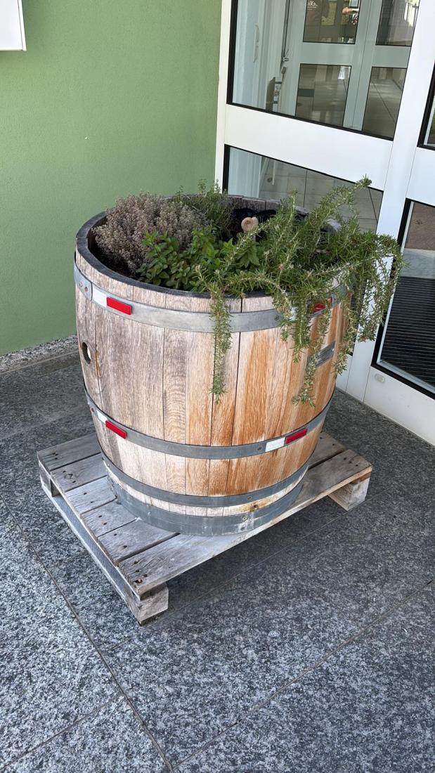 FasstSommer2026 (23)