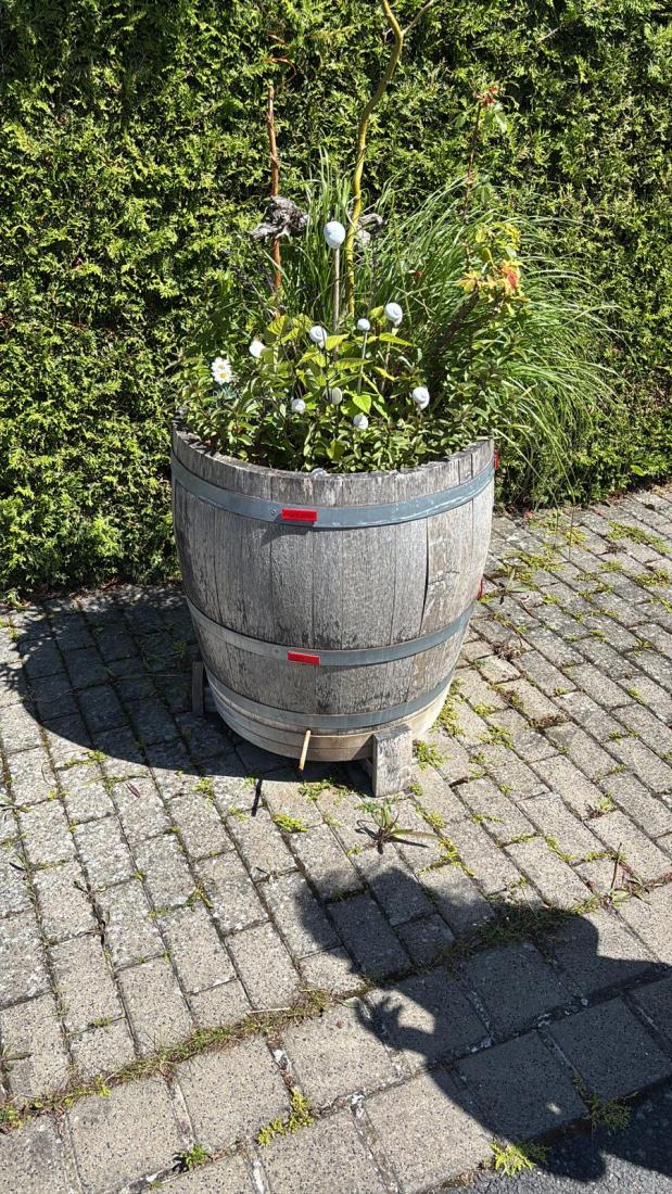 FasstSommer2026 (27)