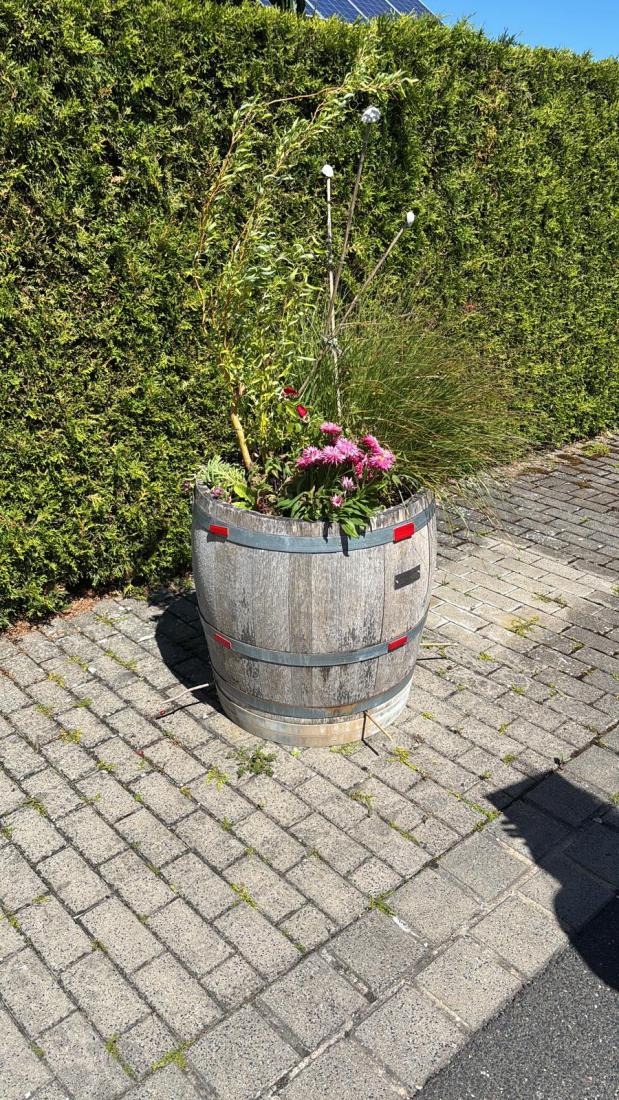 FasstSommer2026 (29)