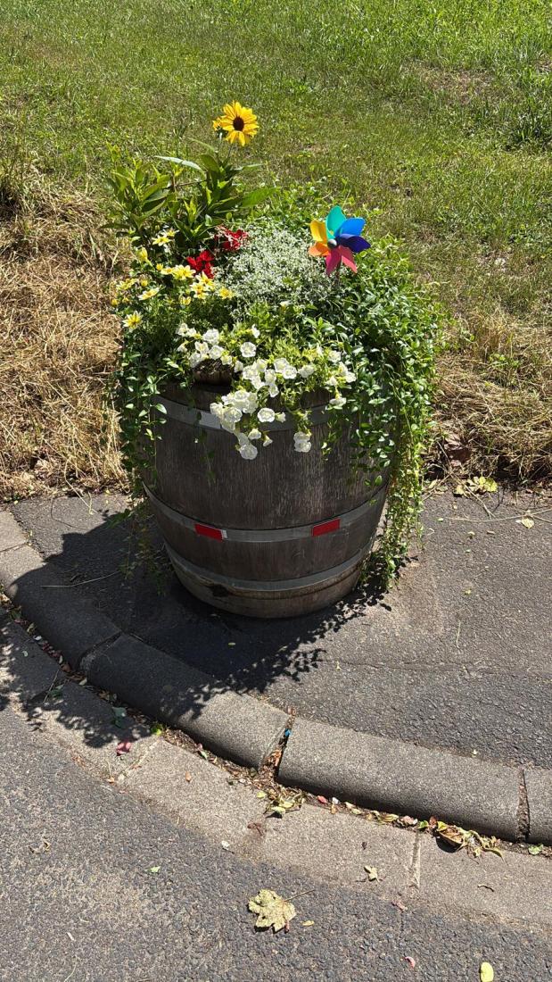 FasstSommer2026 (4)