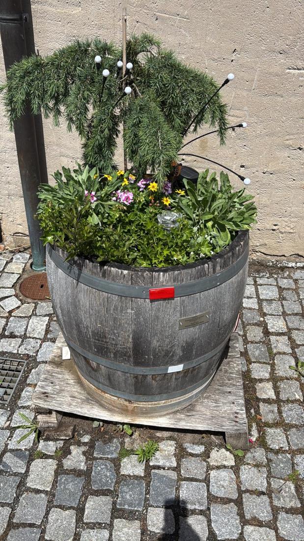 FasstSommer2026 (5)