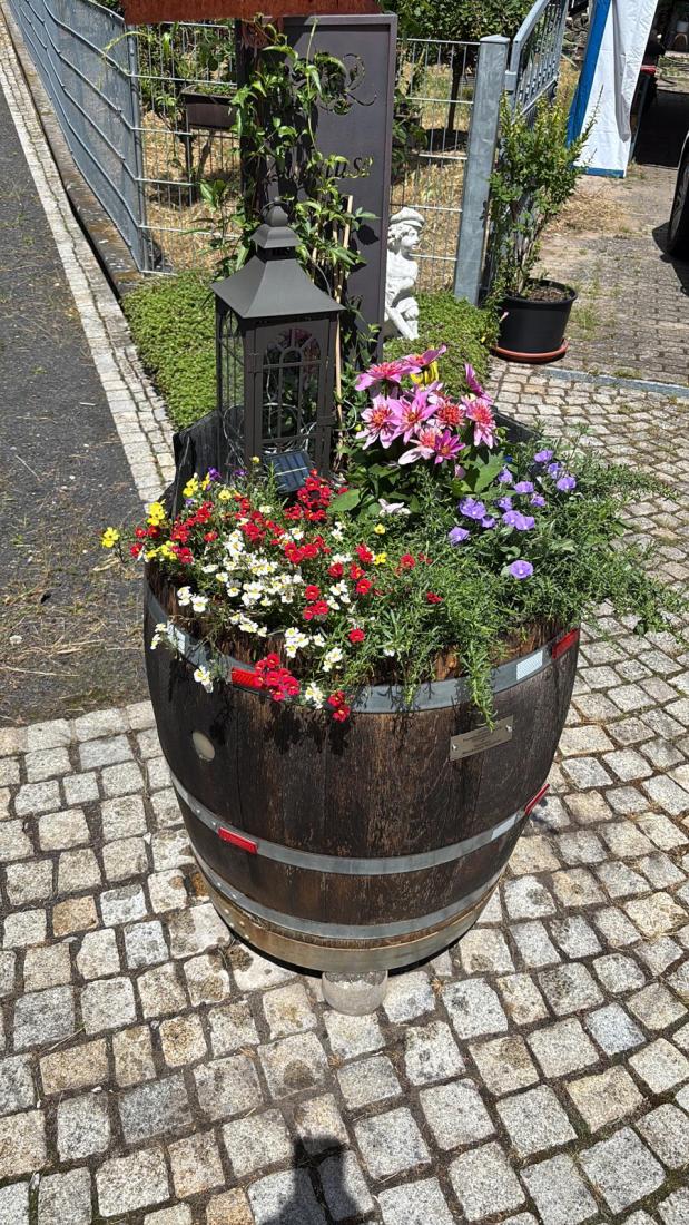FasstSommer2026 (6)