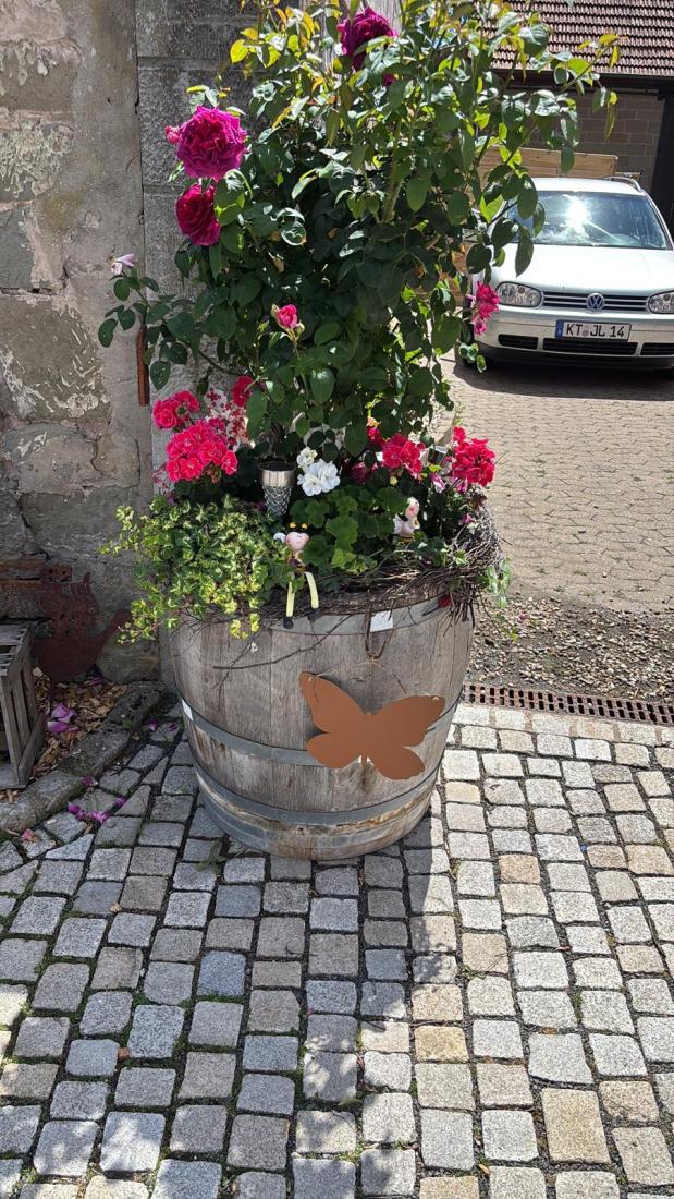 FasstSommer2026 (8)