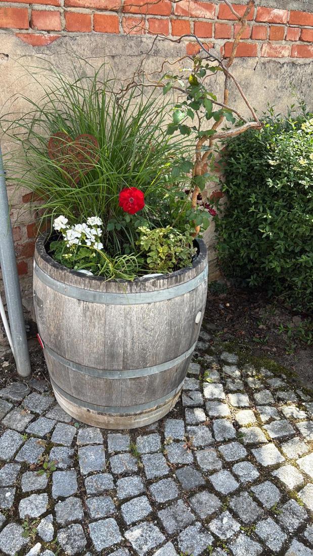 FasstSommer2026 (9)